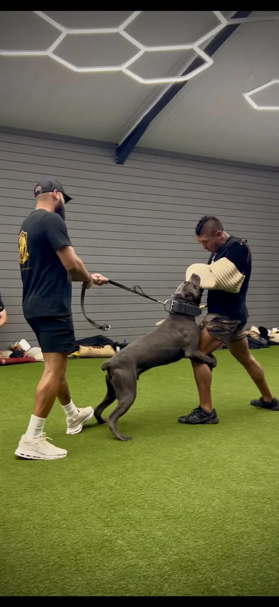 Mike Leal training with experienced professionals