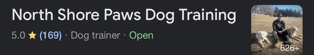 North Shore Paws Dog Training Google profile showing a 5.0 rating from 169 reviews